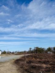 Nauset Light Beach