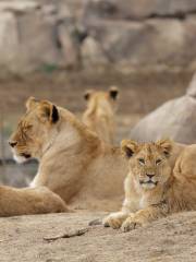 Denver Zoo