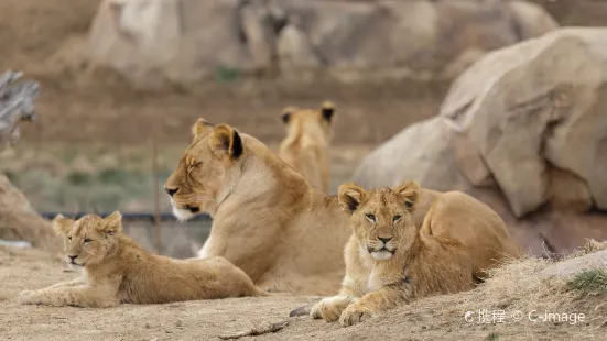 zoo di Denver