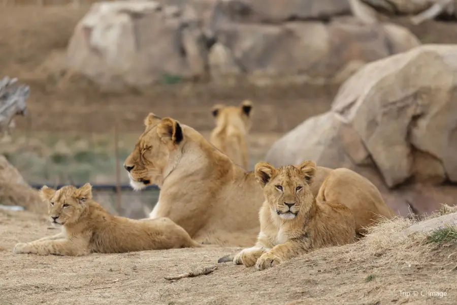 Denver Zoo