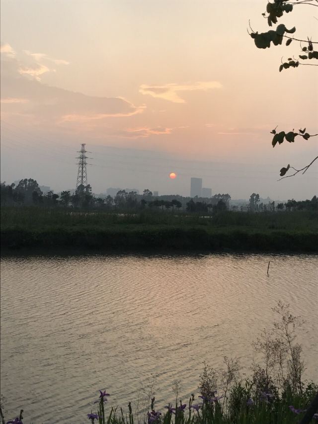 안하이바이탑
