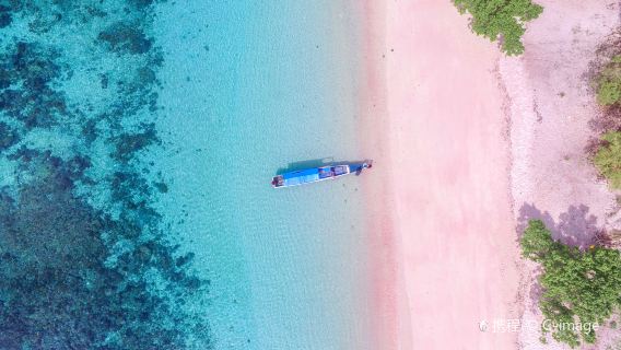 科莫多島一日遊【科莫多龍島6景點經典一日遊】