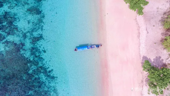 Komodo Island one-day tour[Komodo Dragon Island 6 Attractions Classic one-day tour]