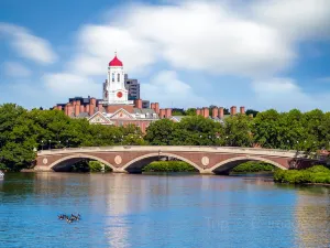 Università di Harvard
