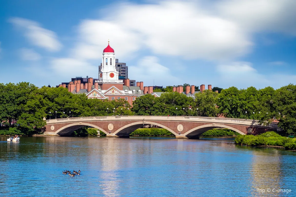 3_Harvard University