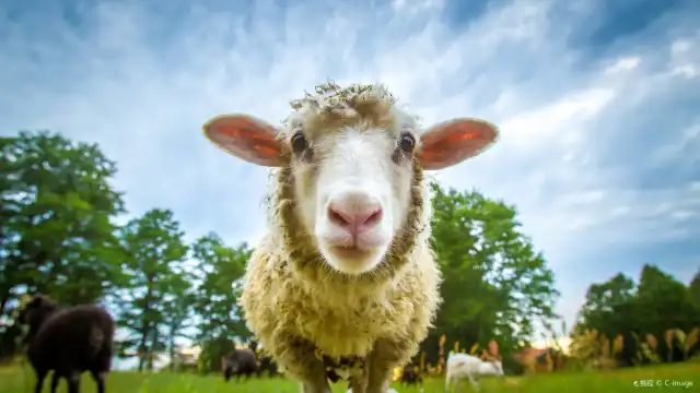 クリーンファーム周辺のホテル