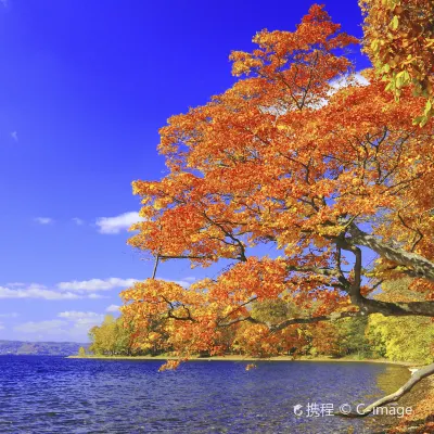 Отели рядом с достопримечательностью «»