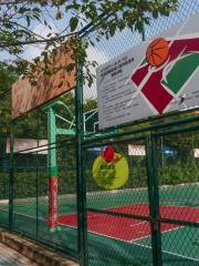 泗塘籃球公園