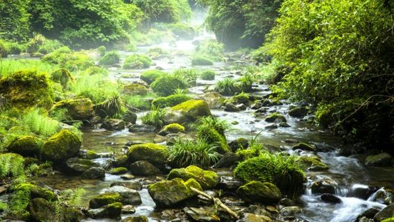 Природная живописная зона железного кувшина