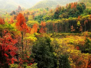 Yashan Scenic Spot