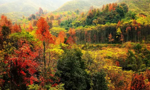 Yashan Scenic Spot
