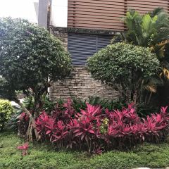 愛伲莊園咖啡張用戶圖片