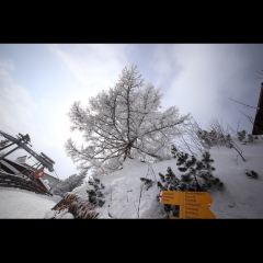Piz Gloria User Photo