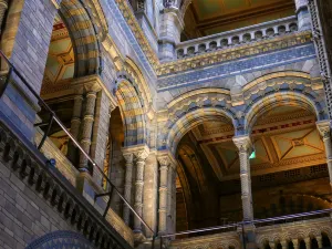 Museo di storia naturale