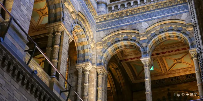 Natural History Museum image 2
