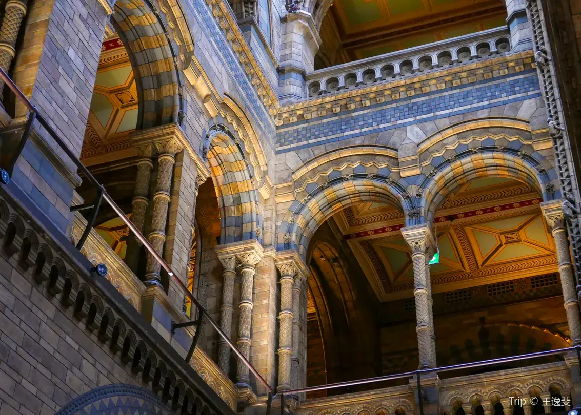 3_Natural History Museum