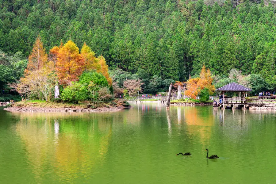 明池國家森林遊樂區