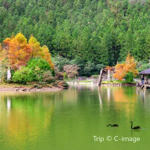 明池國家森林遊樂區