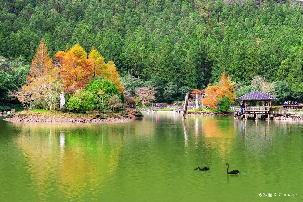 Hotels near Mingchi National Forest Recreation Area