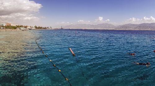 Eilat Coral Beach Nature Reserve