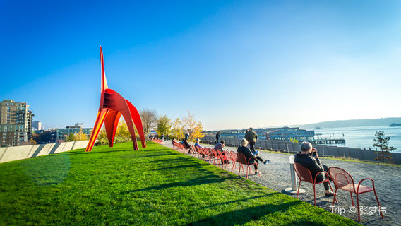 Olympic Sculpture Park