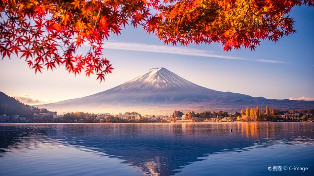 東京市區 富士山 箱根 鎌倉 千葉 群馬包車一日遊 東京往返中文司導景點任選 Trip Com