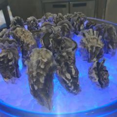 廣州希爾頓逸林飯店·OPEN開·海鮮自助餐張用戶圖片
