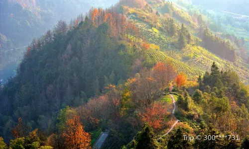 Shitan Village