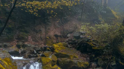 Hidden-Dragon Hundred Waterfalls attraction in Anji