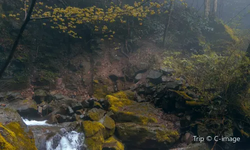 Hidden-Dragon Waterfalls
