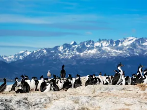 Beagle Channel