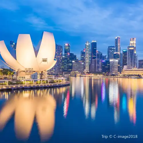 Top 50 Night Attractions in Singapore