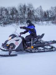 Rovaniemi snowmobile experience