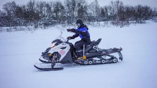 Rovaniemi snowmobile experience