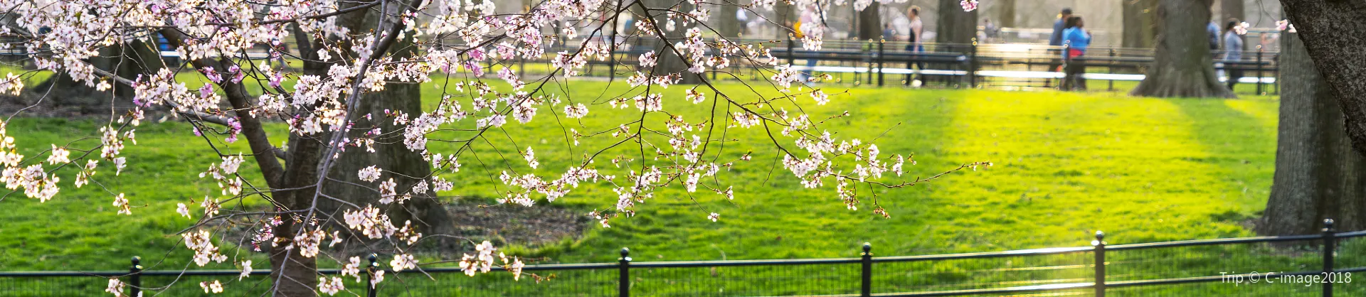 Blumenschau Attraktionen
