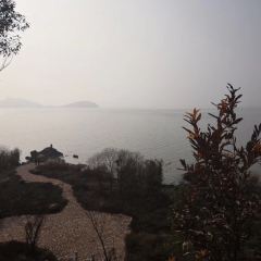 華東療養院餐廳張用戶圖片