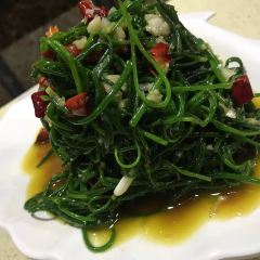 PENG XIN LAMB NATIONAL User Photo
