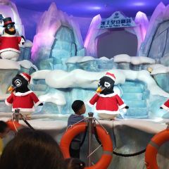 Emperor Penguin All Day Dining User Photo