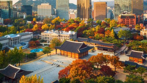 德壽宮+國立現代美術館+漢江公園一日遊|中文司導|專車接送 德壽宮+國立現代美術館+漢江公園一日遊|中文司導|專車接送