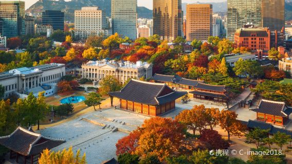 首爾9小時一日遊德壽宮+美術館+漢江公園｜中文司導｜自定義