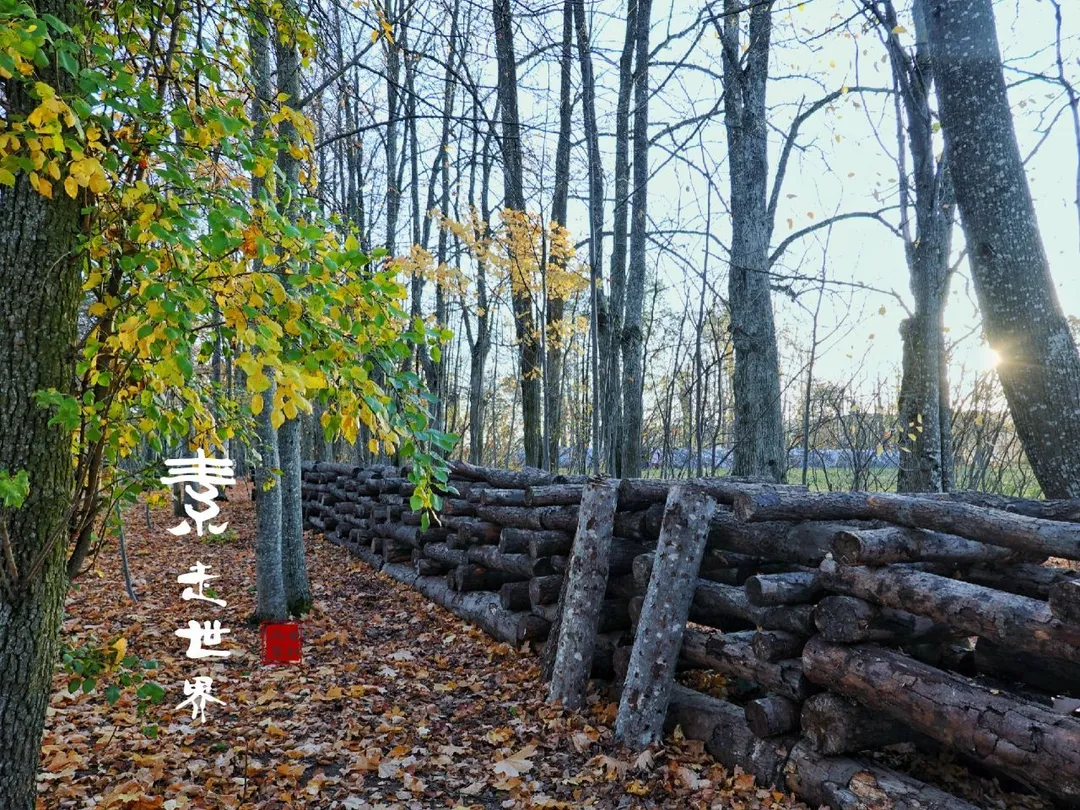 1_Gauja National Park