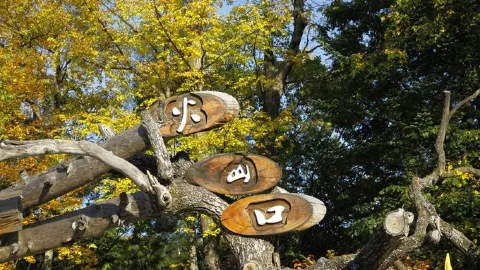 火山口國家森林公園 attraction in 牡丹江