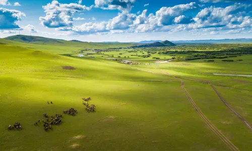 Hulunbuir Grasslands
