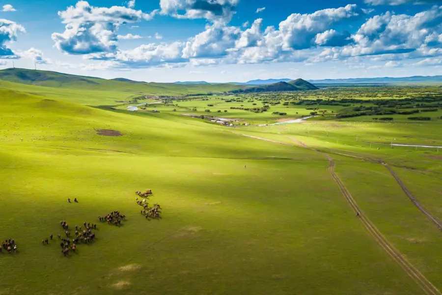 Hulunbuir Grasslands