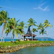 자연과 야생동물