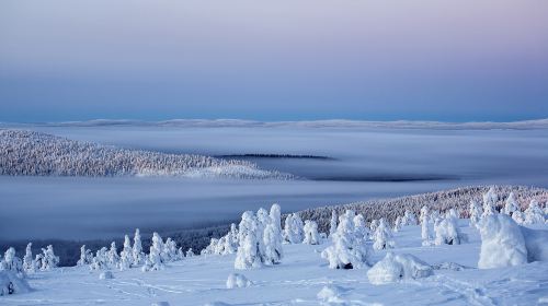 Oy Levi Ski Resort