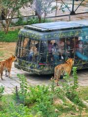 Shenzhen Safari Park