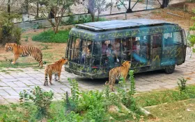 Safari Park Shenzhen