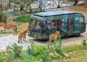 Shenzhen Safari Park