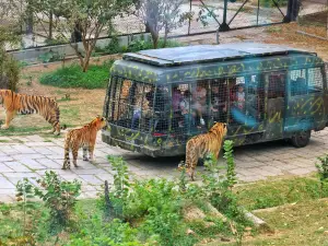 深圳野生動物園